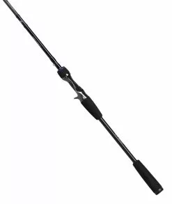 Daiwa Prorex AGS Baitcast -Baitcast Ruten Verkäufe 210912r 2