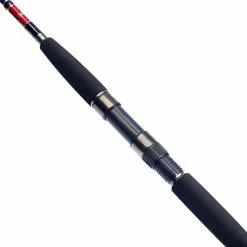 Daiwa Seahunter Z Pilk -Baitcast Ruten Verkäufe 214283r 3